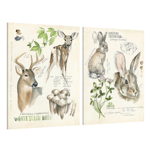 Billeder blomster Wilderness Journal - Deer And Rabbits Set II