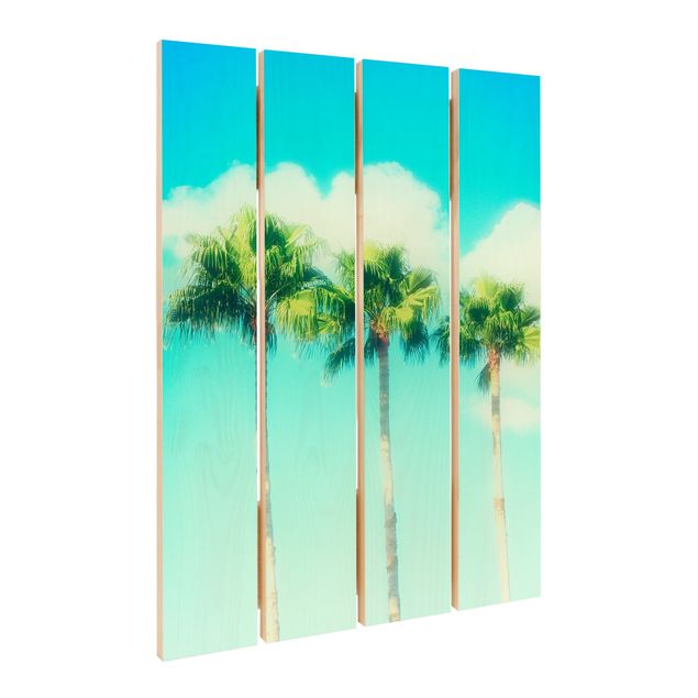 Billeder Palm Trees Against Blue Sky