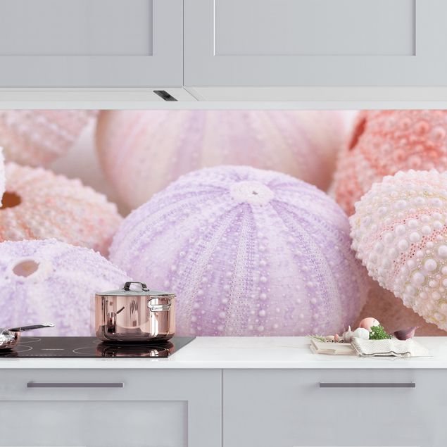 køkken dekorationer Sea Urchin In Pastel
