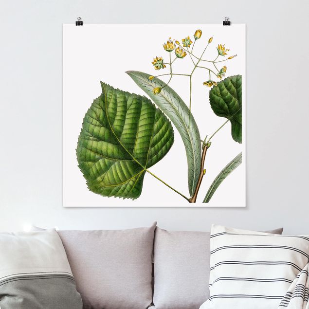 Plakater blomster Foliage With Flowers I