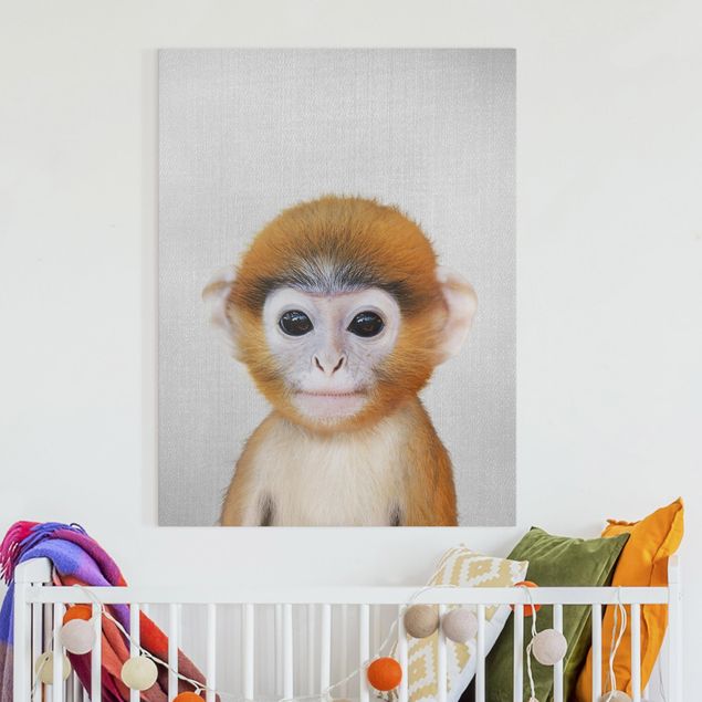 Billeder på lærred aber Baby Monkey Anton