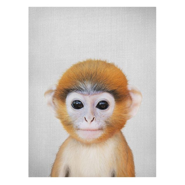 Billeder på lærred dyr Baby Monkey Anton