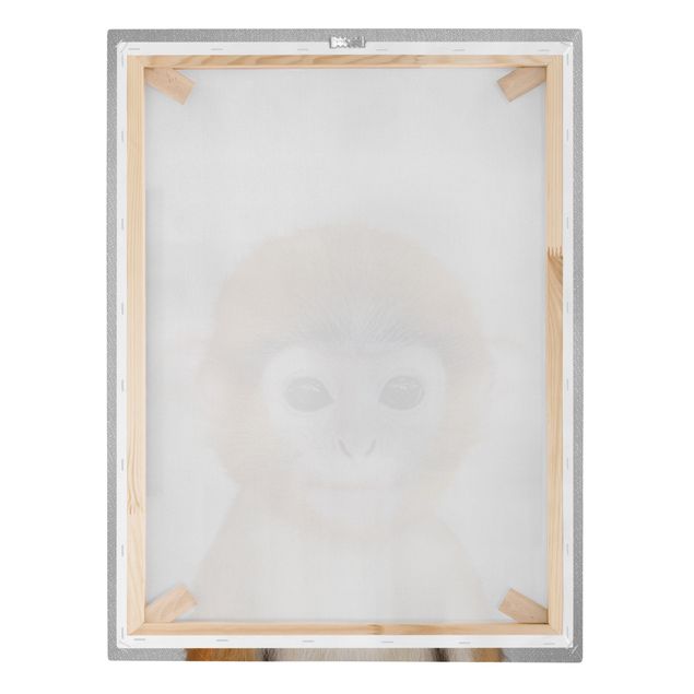 Billeder sort og hvid Baby Monkey Anton
