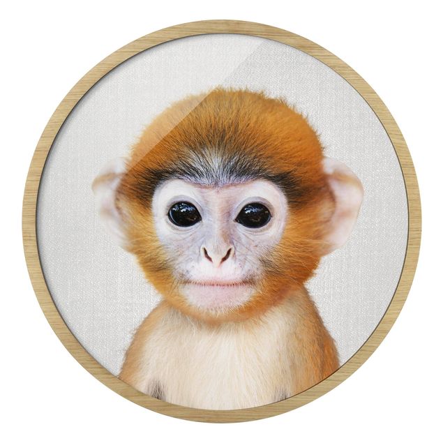 Indrammede plakater dyr Baby Monkey Anton