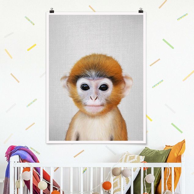 Billeder aber Baby Monkey Anton