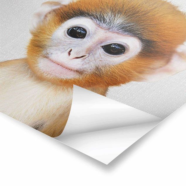 Billeder Gal Design Baby Monkey Anton