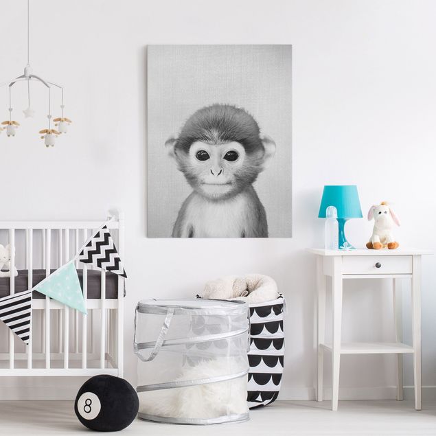 Billeder aber Baby Monkey Anton Black And White