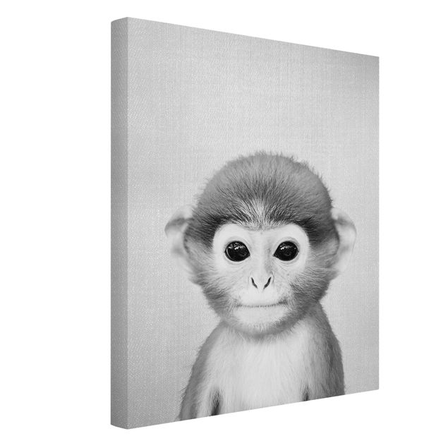 Billeder på lærred sort og hvid Baby Monkey Anton Black And White