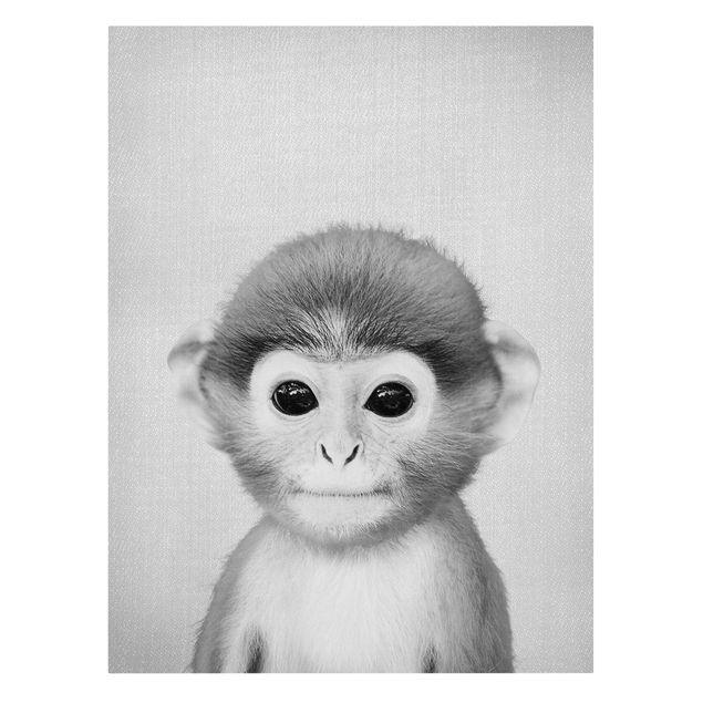 Billeder på lærred dyr Baby Monkey Anton Black And White