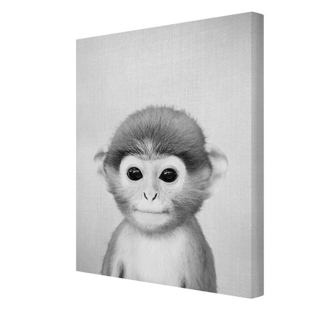 Billeder moderne Baby Monkey Anton Black And White