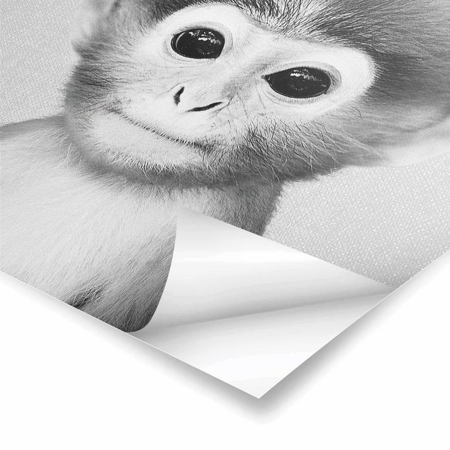 Billeder Gal Design Baby Monkey Anton Black And White