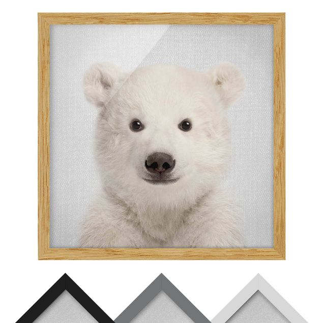 Billeder sort og hvid Baby Polar Bear Emil