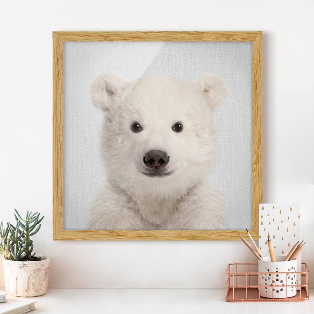 Billeder bjørne Baby Polar Bear Emil