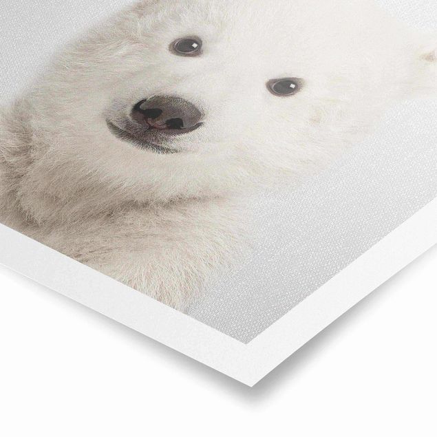 Billeder moderne Baby Polar Bear Emil