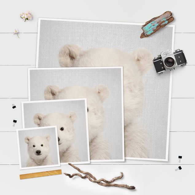 Billeder Baby Polar Bear Emil