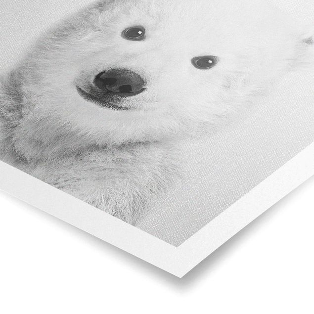 Billeder moderne Baby Polar Bear Emil Black And White