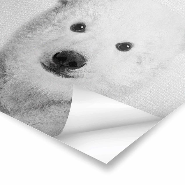 Billeder Gal Design Baby Polar Bear Emil Black And White