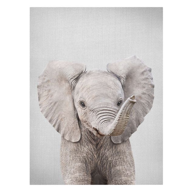 Billeder på lærred dyr Baby Elephant Elsa