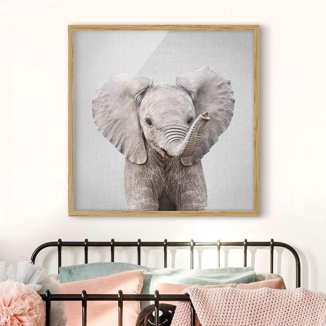 Billeder elefanter Baby Elephant Elsa