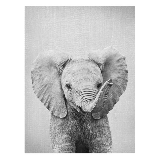 Billeder på lærred dyr Baby Elephant Elsa Black And White