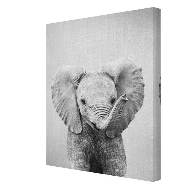 Billeder moderne Baby Elephant Elsa Black And White