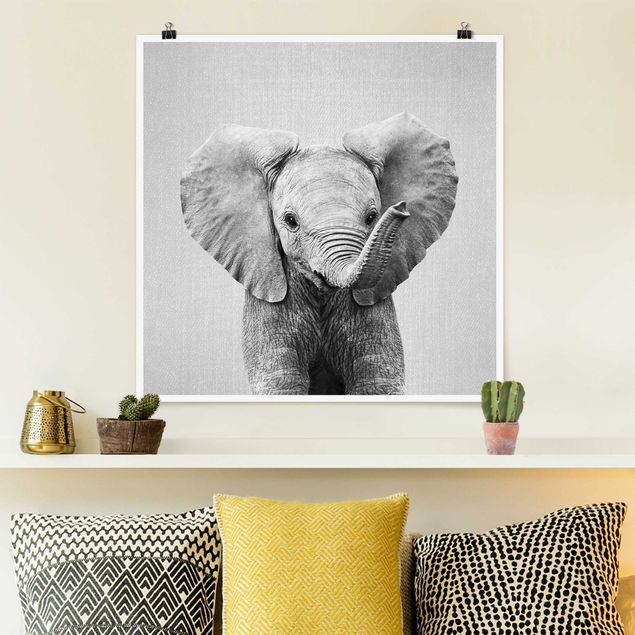 Billeder elefanter Baby Elephant Elsa Black And White