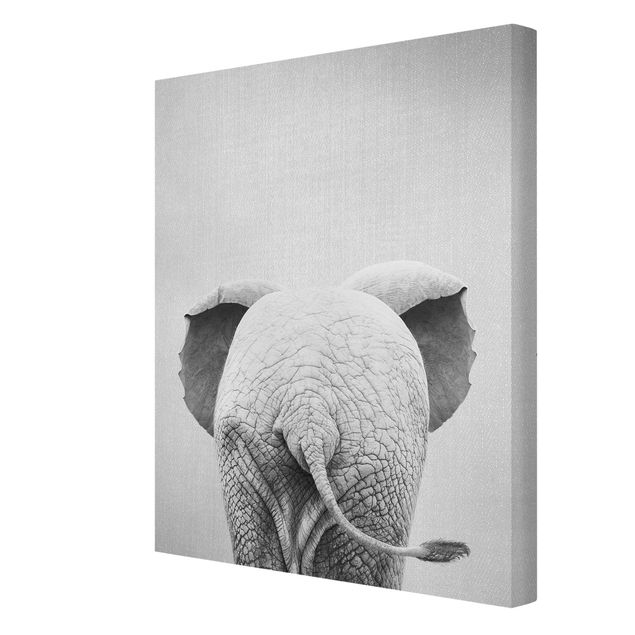 Billeder moderne Baby Elephant From Behind Black And White