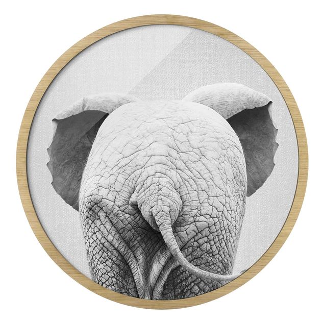 Indrammede plakater dyr Baby Elephant From Behind Black And White