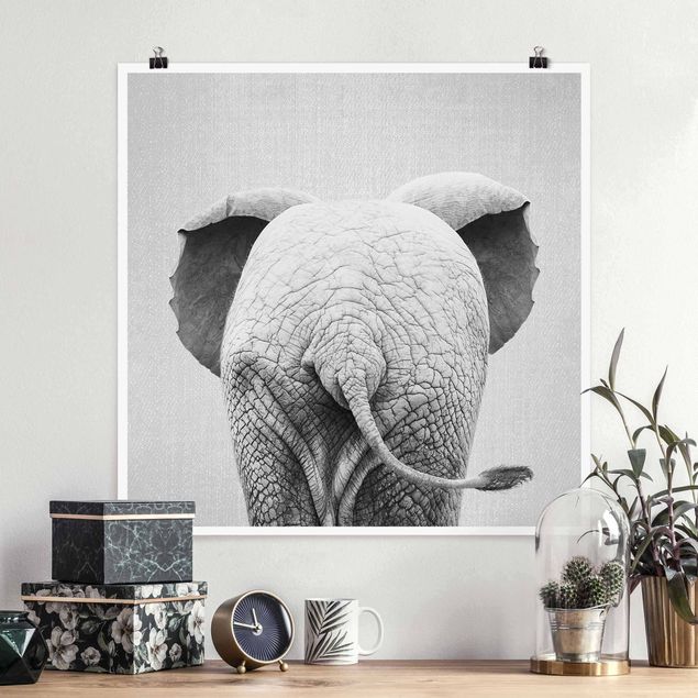 Billeder elefanter Baby Elephant From Behind Black And White