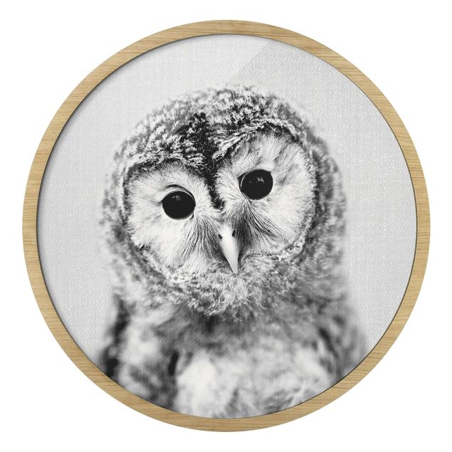 Billeder moderne Baby Owl Erika Black And White