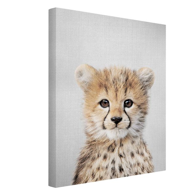 Billeder på lærred dyr Baby Cheetah Gino