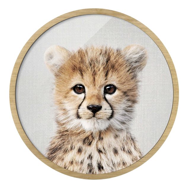 Billeder moderne Baby Cheetah Gino