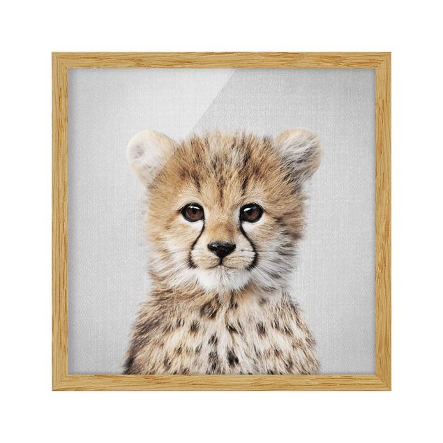Billeder moderne Baby Cheetah Gino
