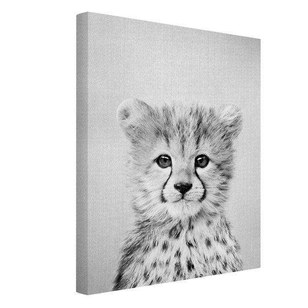 Billeder på lærred dyr Baby Cheetah Gino Black And White
