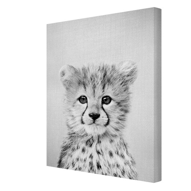 Billeder sort og hvid Baby Cheetah Gino Black And White