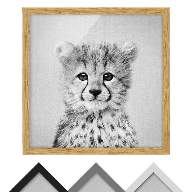 Billeder Gal Design Baby Cheetah Gino Black And White