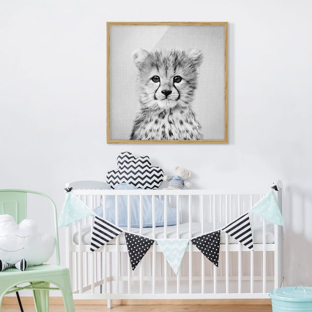 Indrammede plakater sort og hvid Baby Cheetah Gino Black And White