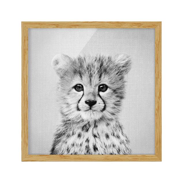 Billeder moderne Baby Cheetah Gino Black And White