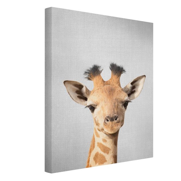 Billeder på lærred sort og hvid Baby Giraffe Gandalf