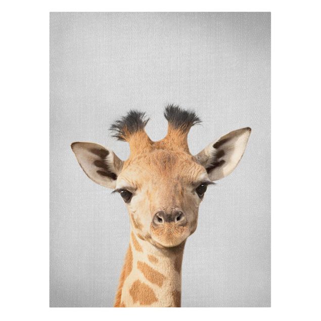 Billeder på lærred dyr Baby Giraffe Gandalf
