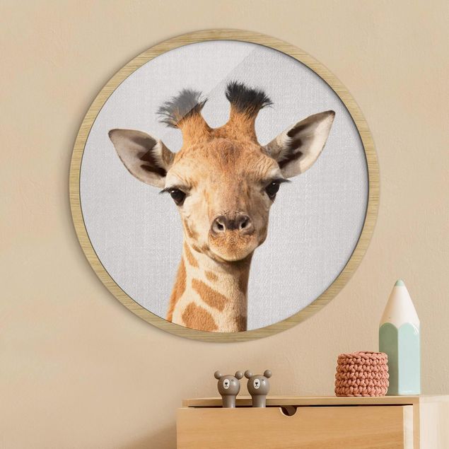 Billeder giraffer Baby Giraffe Gandalf