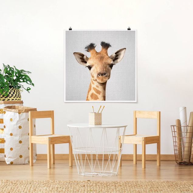 Plakater sort og hvid Baby Giraffe Gandalf