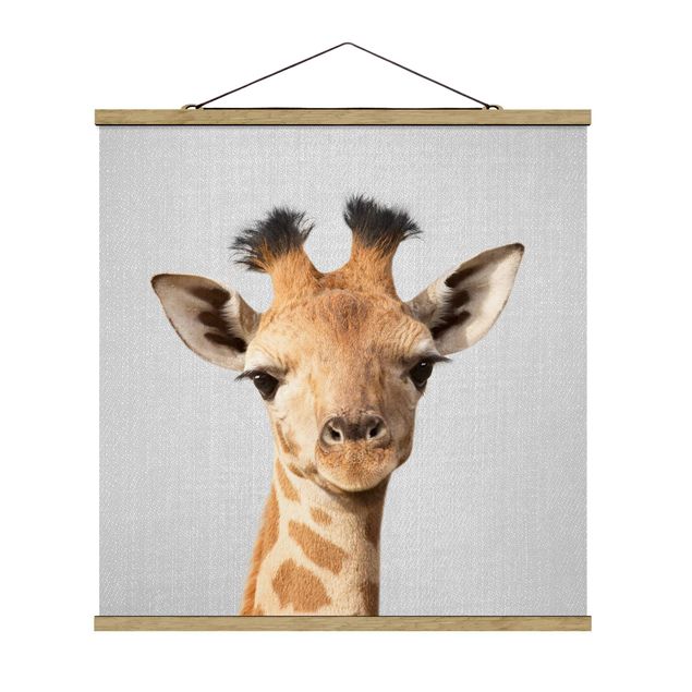 Plakater dyr Baby Giraffe Gandalf