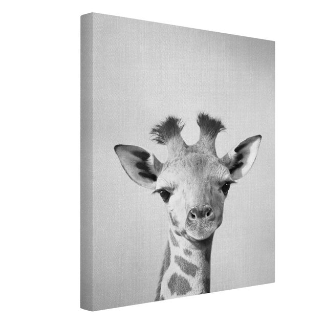 Billeder på lærred sort og hvid Baby Giraffe Gandalf Black And White