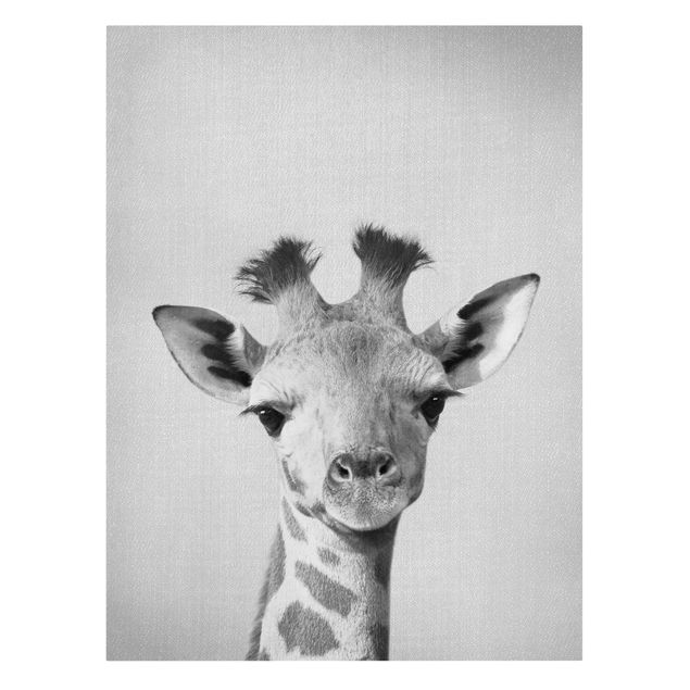 Billeder på lærred dyr Baby Giraffe Gandalf Black And White