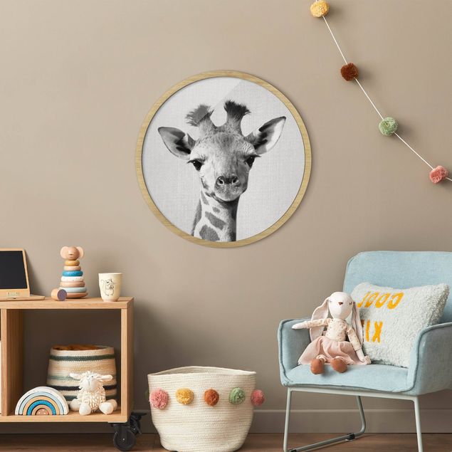 Rund billeder Baby Giraffe Gandalf Black And White