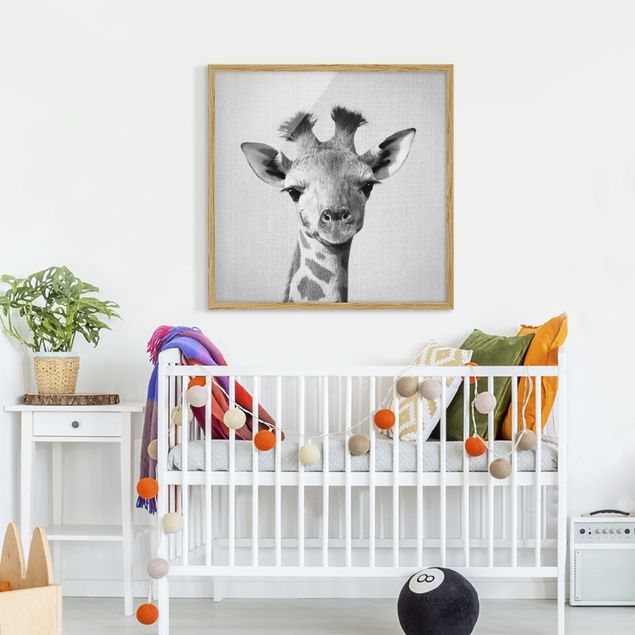 Indrammede plakater sort og hvid Baby Giraffe Gandalf Black And White
