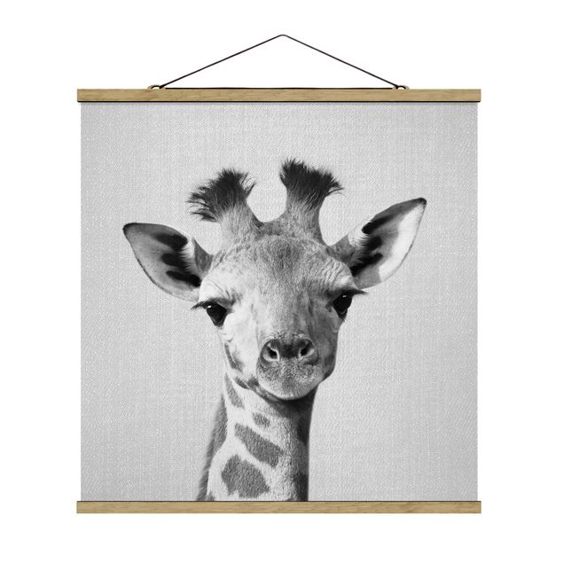 Plakater dyr Baby Giraffe Gandalf Black And White