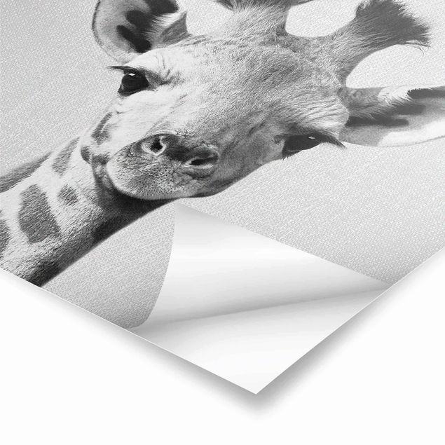 Billeder Gal Design Baby Giraffe Gandalf Black And White