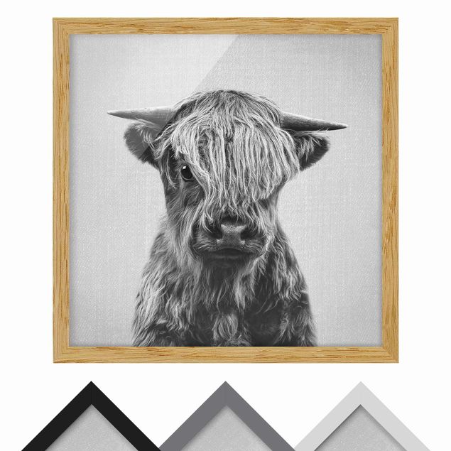 Billeder Gal Design Baby Highland Cow Henri Black And White